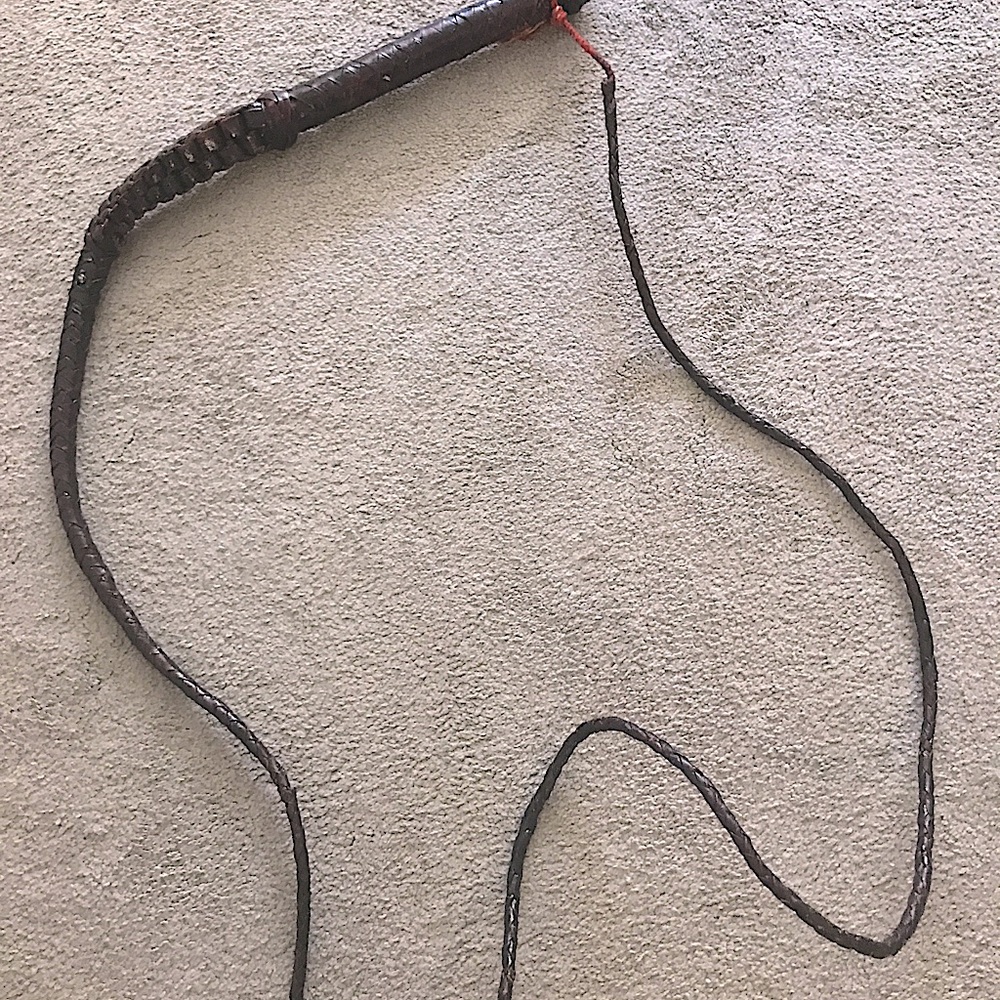 COPY - Just Whip it! Beautiful handwoven horse whip
